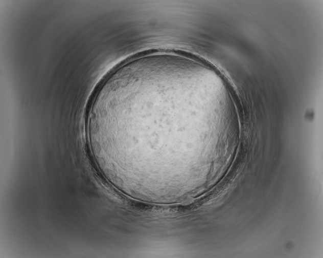 X0000098160887200805011428