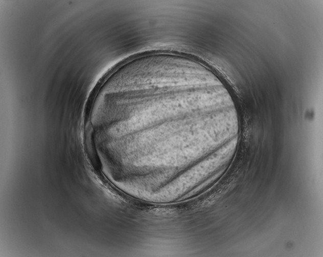 X0000098160888200805011428