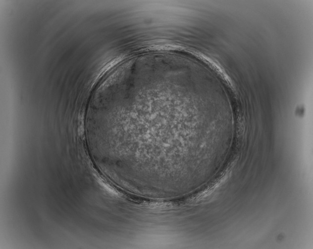 X0000098160889200805011428