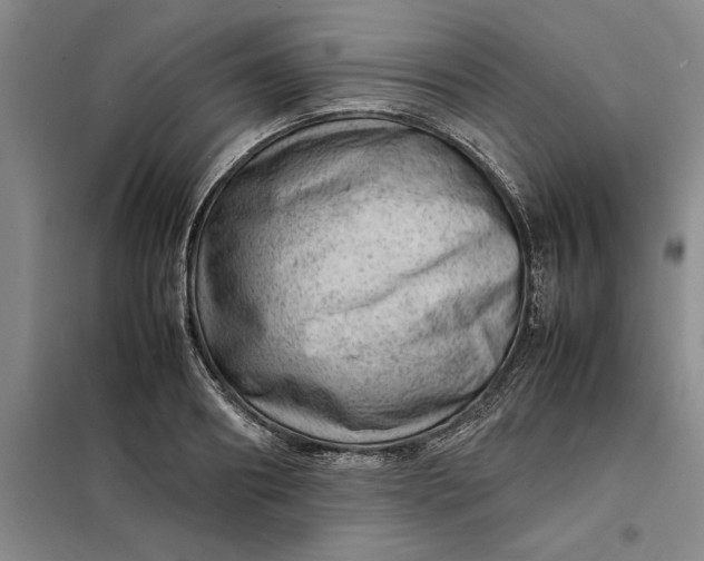 X0000098160890200805011428