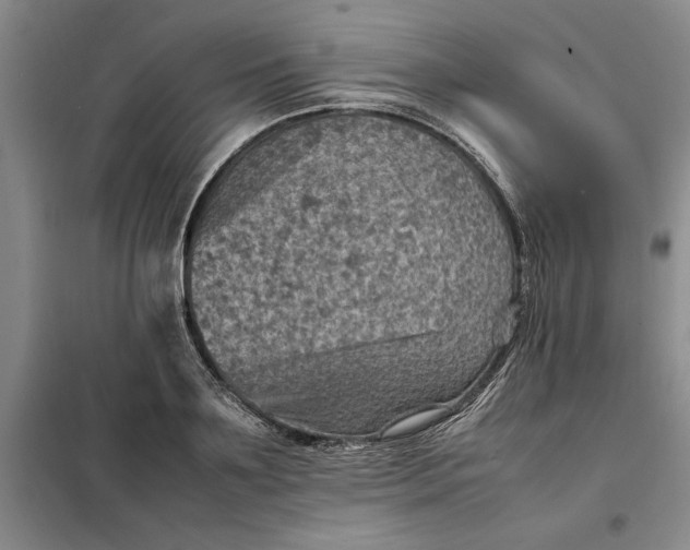 X0000098160891200805011428