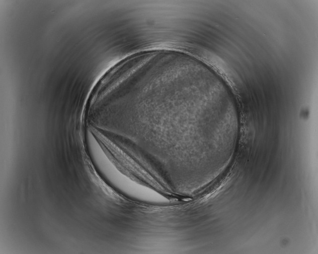 X0000098160892200805011428