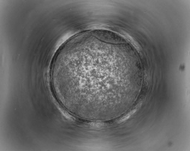 X0000098160893200805011428
