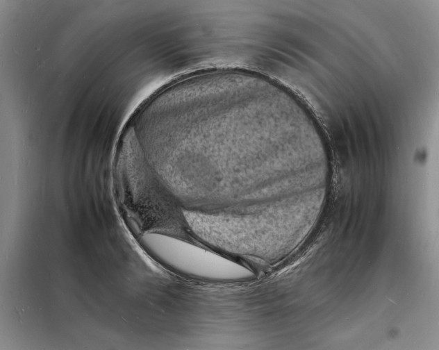 X0000098160894200805011428