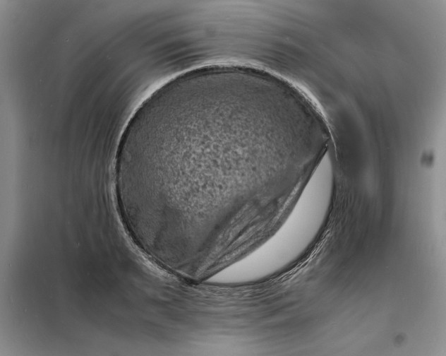 X0000098160895200805011428