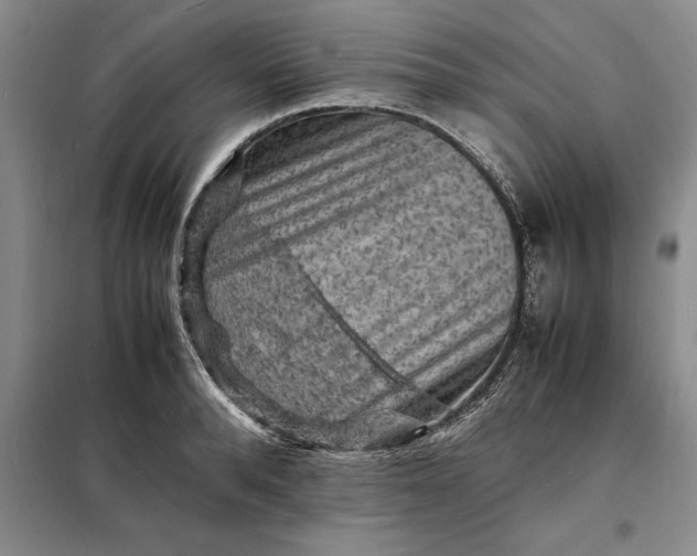 X0000098160896200805011428