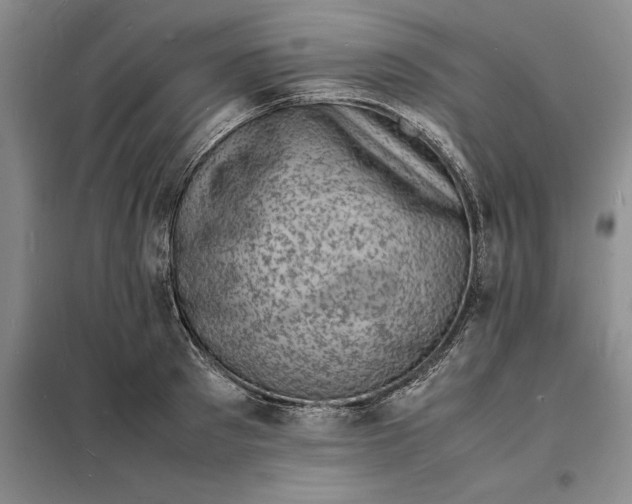 X0000098160897200805011428