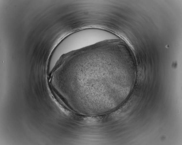 X0000098160898200805011428