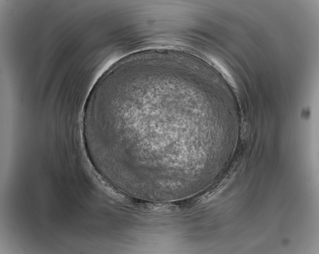 X0000098160899200805011428