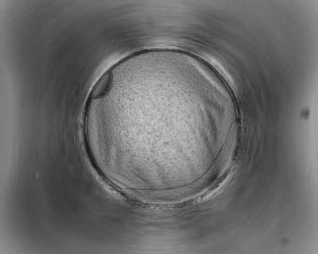 X0000098160901200805011428