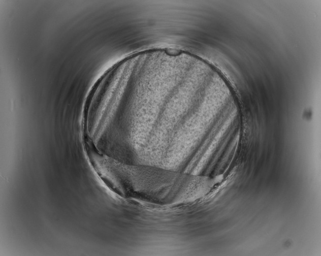 X0000098160902200805011428