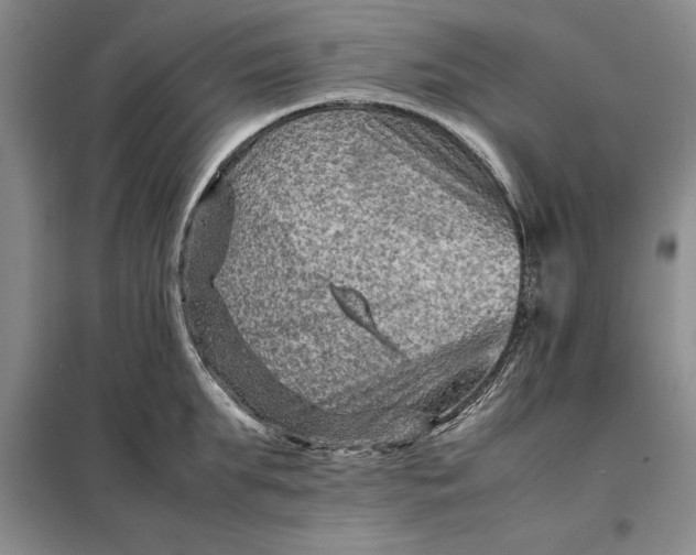 X0000098160903200805011428