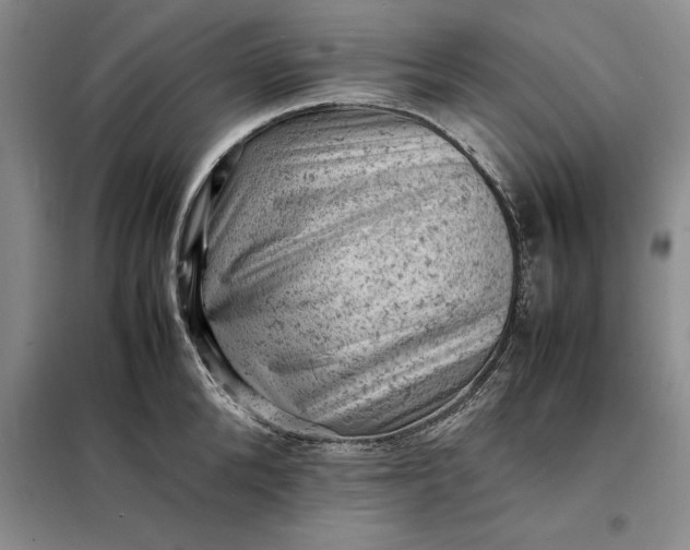 X0000098160904200805011428