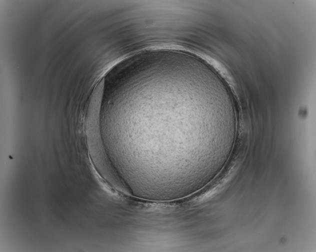 X0000098160905200805011428