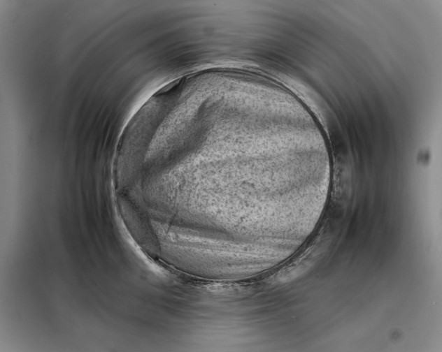 X0000098160906200805011428