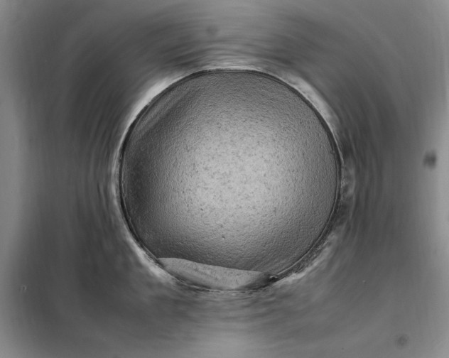 X0000098160909200805011427