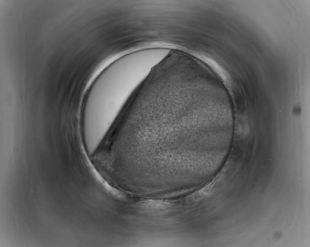 X0000098160910200805011427