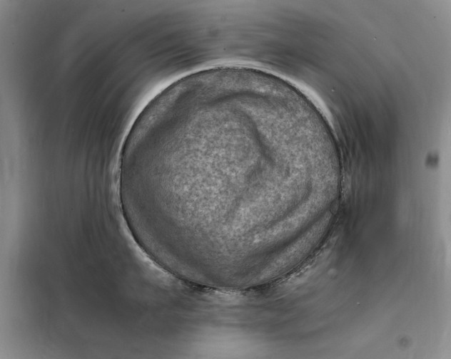 X0000098160911200805011427
