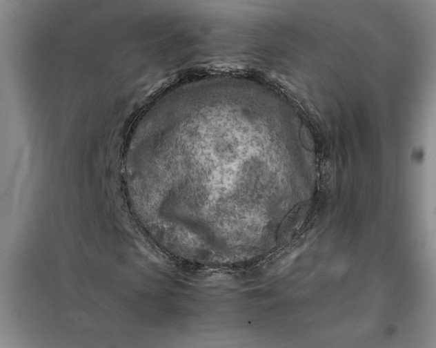 X0000098160913200805011427