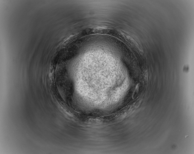 X0000098160914200805011427