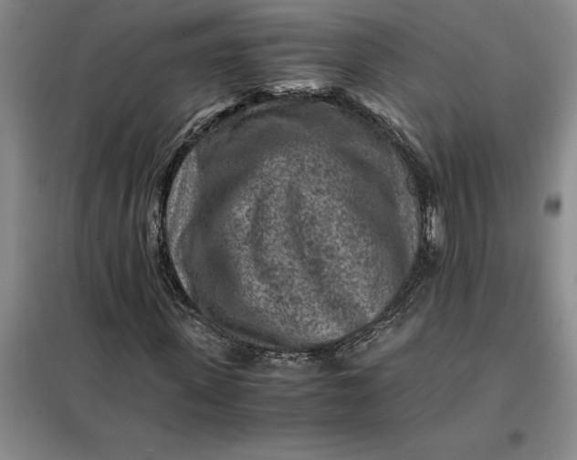 X0000098160915200805011427