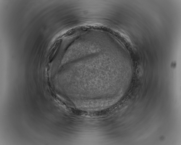 X0000098160920200805011427
