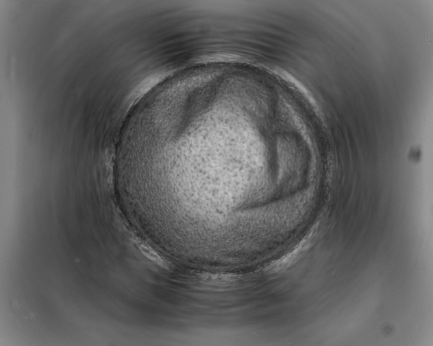 X0000098160921200805011427