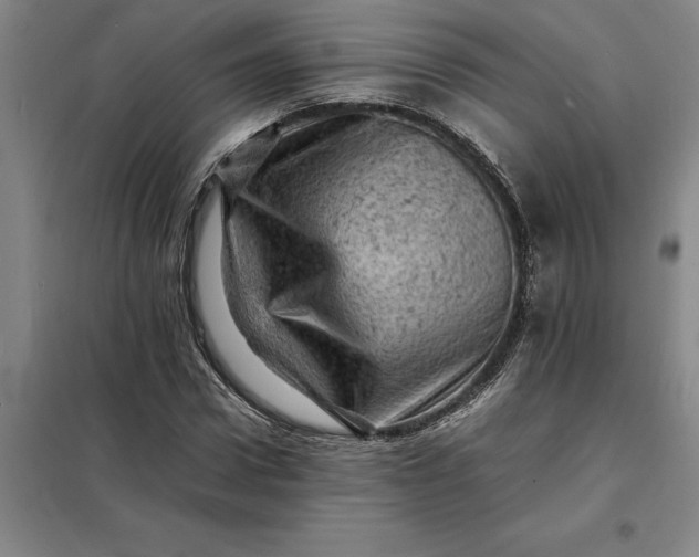 X0000098160922200805011427