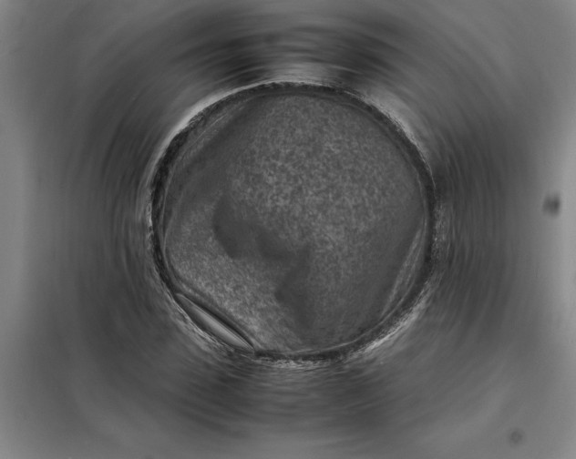 X0000098160923200805011427
