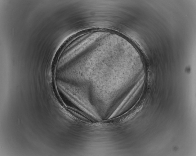 X0000098160924200805011427