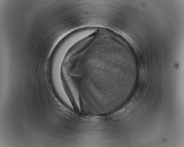 X0000098160926200805011427