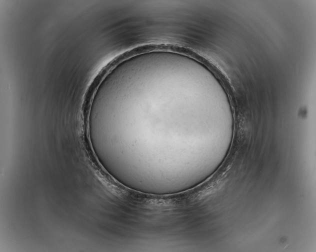 X0000098160927200805011427