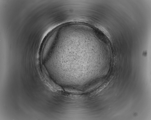 X0000098160928200805011427