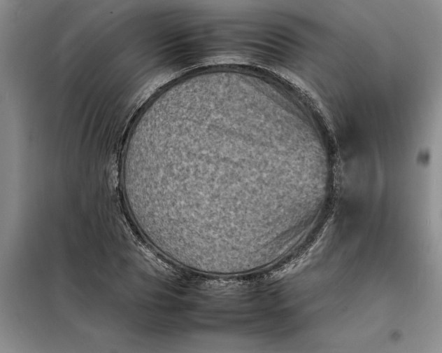 X0000098160929200805011427