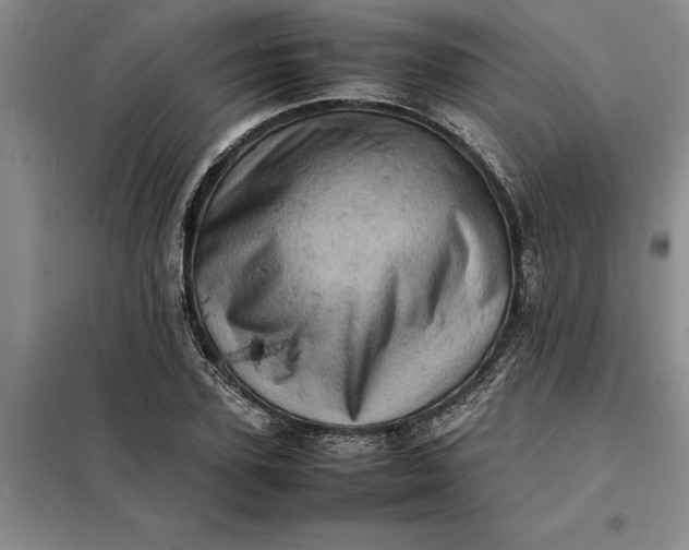 X0000098160931200805011427
