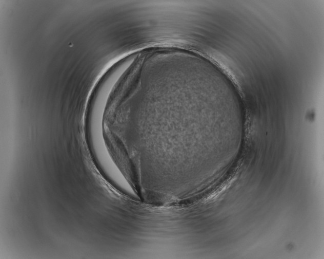 X0000098160932200805011427
