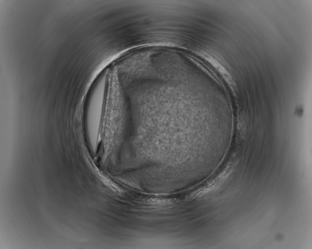 X0000098160933200805011427