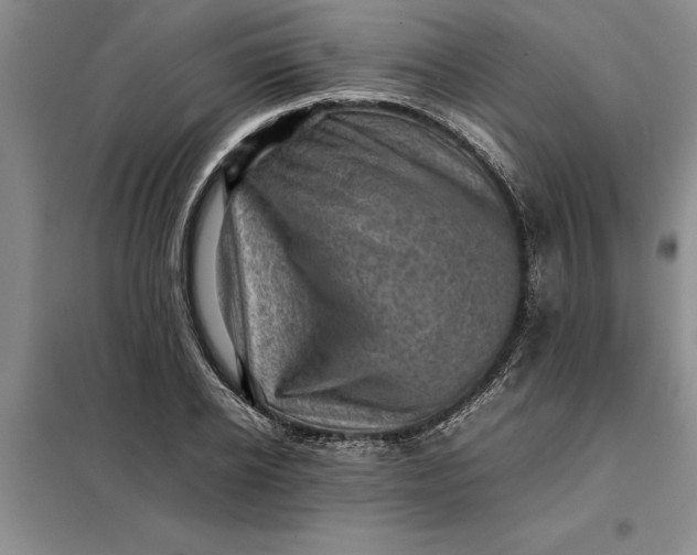 X0000098160934200805011427