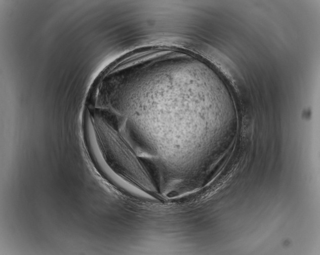 X0000098160936200805011427