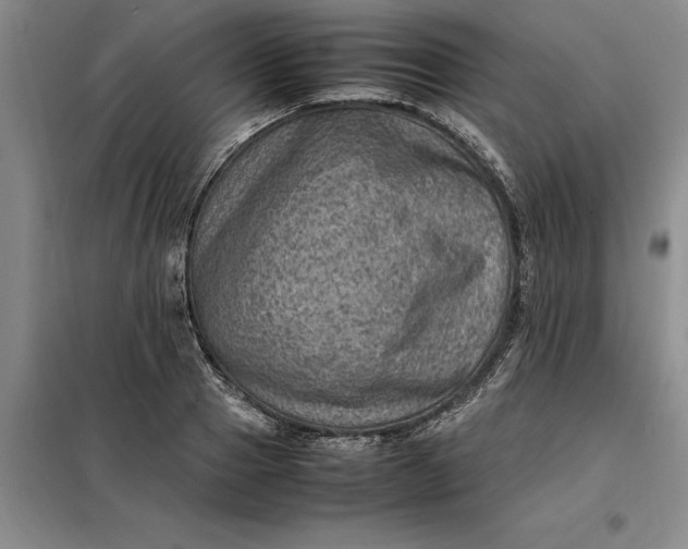 X0000098160937200805011427