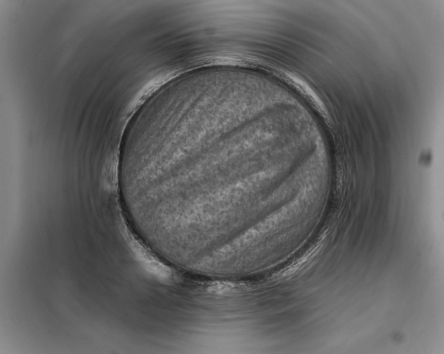 X0000098160938200805011427