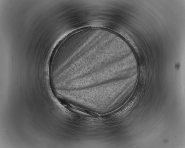 X0000098160939200805011427
