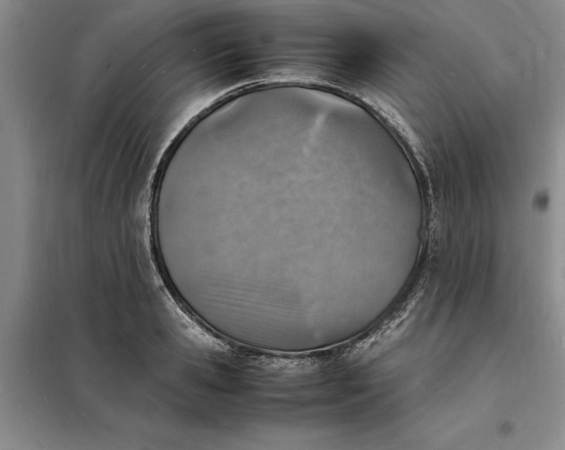X0000098160941200805011427