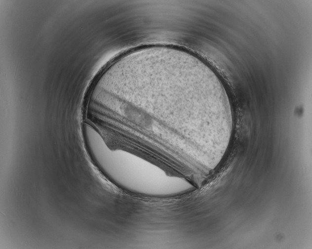 X0000098160942200805011427