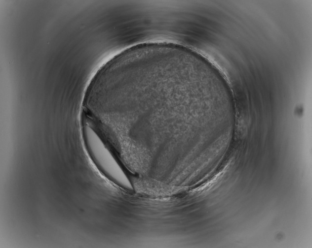X0000098160943200805011427