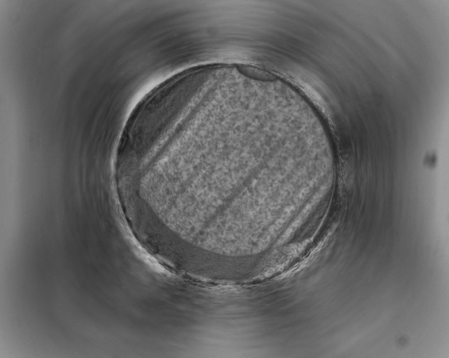 X0000098160944200805011427