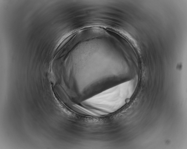 X0000098160945200805011427