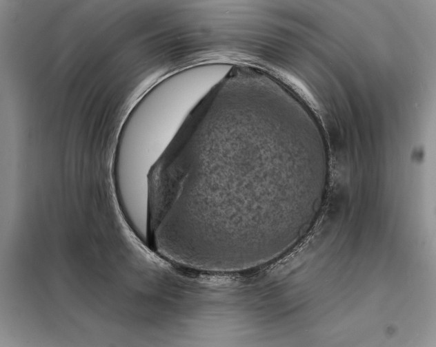 X0000098160946200805011427