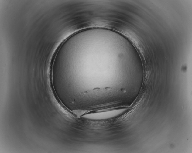 X0000098160947200805011427