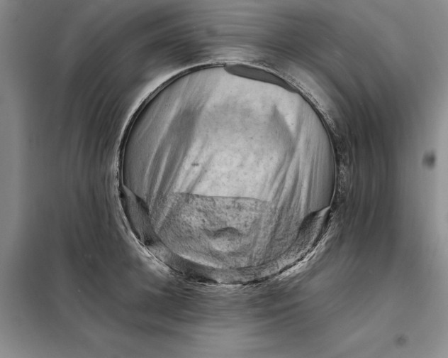 X0000098160948200805011427